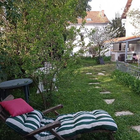 2 Chambres Et Salle De Bain Un Oasis De Bien Etre Piscine Et Jardin Direct Gare Aeroport Toulouse Dış mekan fotoğraf
