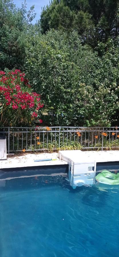 2 Chambres Et Salle De Bain Un Oasis De Bien Etre Piscine Et Jardin Direct Gare Aeroport Toulouse Dış mekan fotoğraf