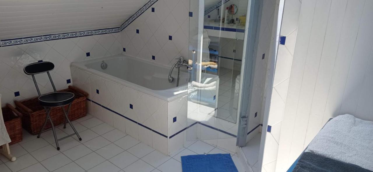 2 Chambres Et Salle De Bain Un Oasis De Bien Etre Piscine Et Jardin Direct Gare Aeroport Toulouse Dış mekan fotoğraf