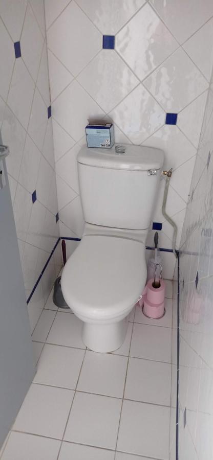 2 Chambres Et Salle De Bain Un Oasis De Bien Etre Piscine Et Jardin Direct Gare Aeroport Toulouse Dış mekan fotoğraf