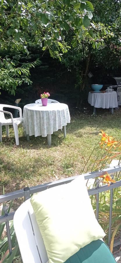 2 Chambres Et Salle De Bain Un Oasis De Bien Etre Piscine Et Jardin Direct Gare Aeroport Toulouse Dış mekan fotoğraf