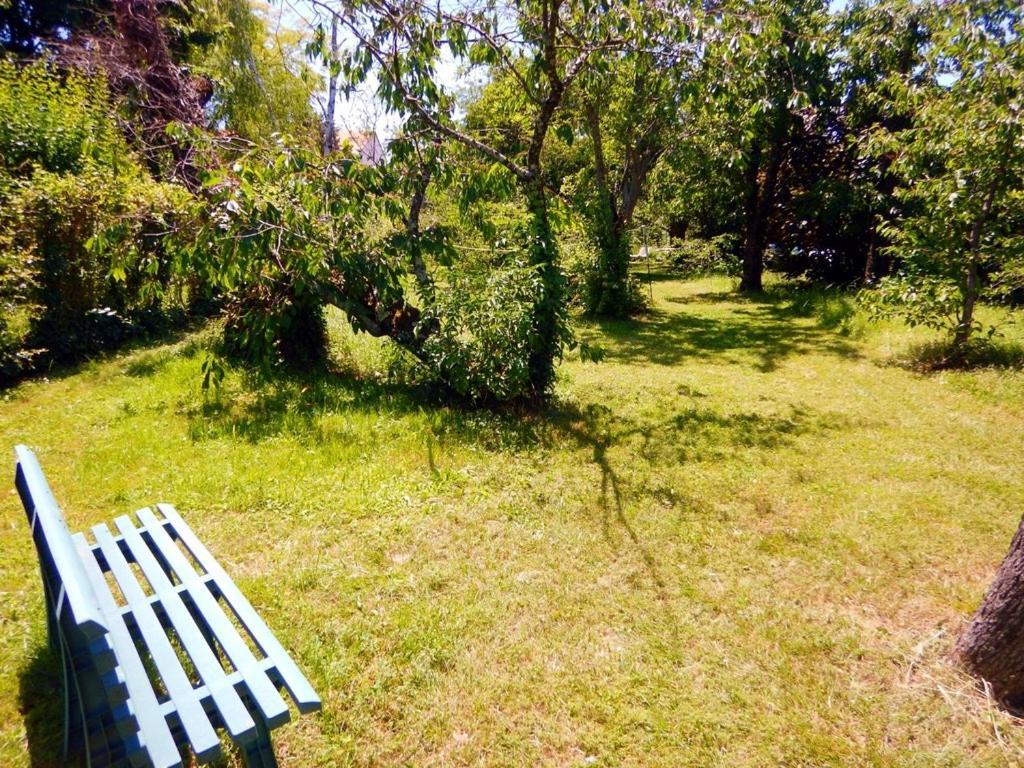 2 Chambres Et Salle De Bain Un Oasis De Bien Etre Piscine Et Jardin Direct Gare Aeroport Toulouse Dış mekan fotoğraf