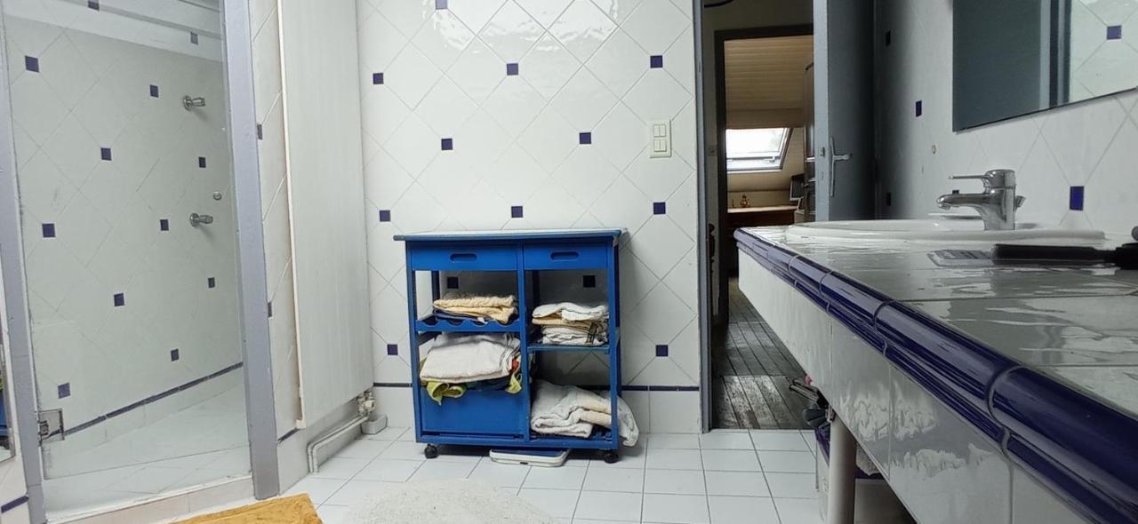 2 Chambres Et Salle De Bain Un Oasis De Bien Etre Piscine Et Jardin Direct Gare Aeroport Toulouse Dış mekan fotoğraf